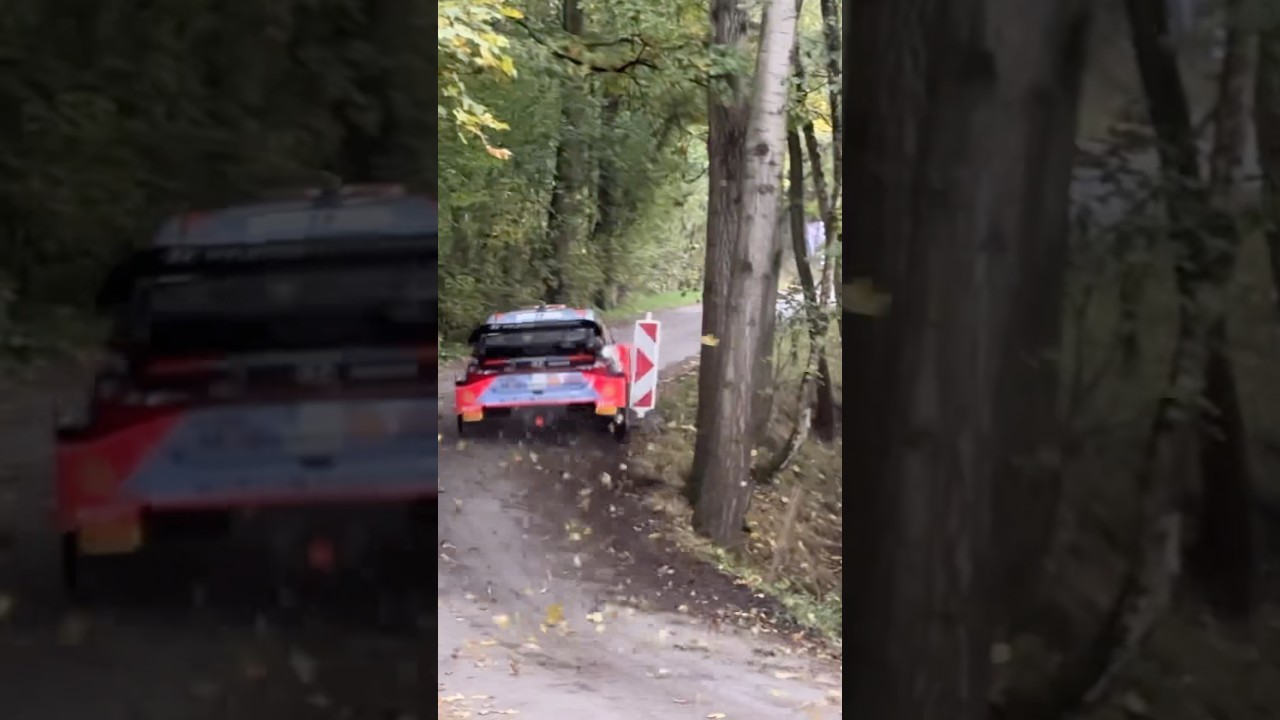 Mikkelsen on Max Attack! WRC Central European Rally 2024 