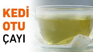 Uykusuzluga Iyi Gelen Kedi Otu Cayi Nasil Yapilir Youtube