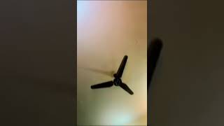 ⁣very hot shemale dancers are in personal room in romance #transgender #dance #indopak #kinnar #short