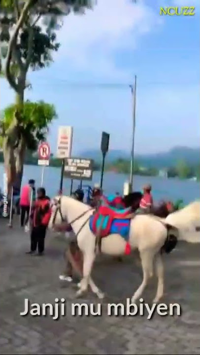 Tutukno lakumu (sarangan ninggal kenangan) #sarangan #magetan