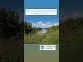 отрывок музыка бесконечное лето часть 2