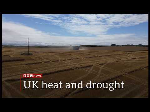 Weather Events - Farmers warn of food shortages as heat & drought + next heat alert (UK) 2/Aug/2026