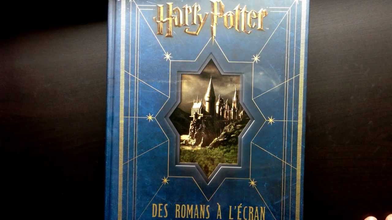 Harry Potter Des Romans à L écran