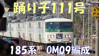 踊り子111号　185系OM09編成を見送った！　JR常磐線、我孫子駅。キャストは、185系、E657系、E531系、E231系、メトロ16000系