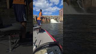 The big bream lay up by the dam🎣 #fishing #bream #outdoors #river #