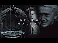 draco malfoy| he was lowering his wand.