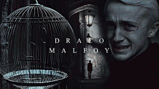 draco malfoy| he was lowering his wand.