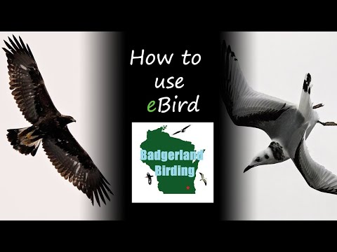 How to use