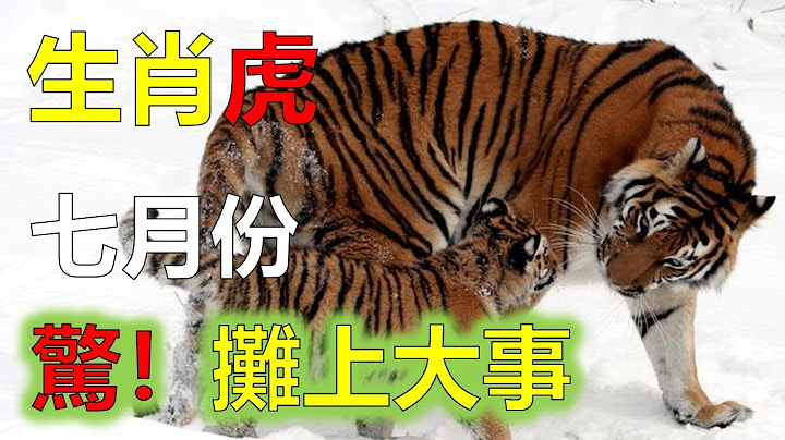 屬虎人七月將有大事發生，屬虎人下半年七月運勢如何，什麼生肖屬相的人跟屬虎人犯沖，2023年12生肖運勢，預測十二生肖（鼠、龍、猴、兔）生肖運勢（牛、蛇、雞、豬）生肖運勢（虎、馬、狗、羊）生肖運程 - 天天要聞