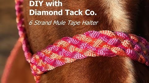 How To Braid a Six Strand Mule Tape Horse Halter