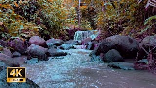 Relaxing sounds of waterfall and water flowing for sleep 30 minutes peaceful a life