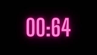 101 Second Timer with Alarm