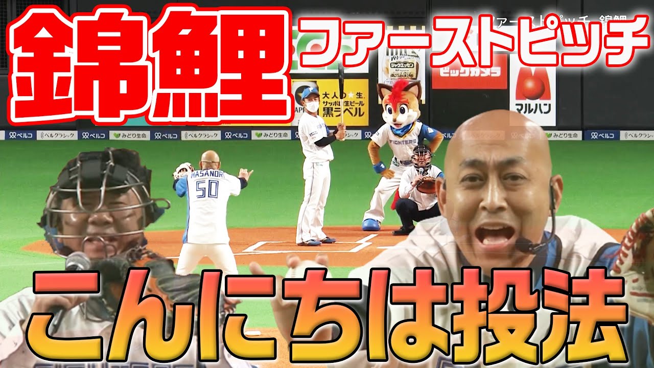 錦鯉がファーストピッチに登場 初披露 こんにちは投法 Baseball Wacoca Japan People Life Style