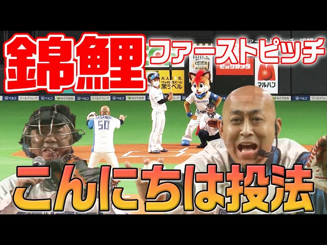 こんにちは〜!錦鯉 長谷川雅紀