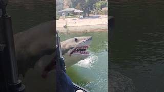 I saw Jaws at the universal studios backlot tour #universalstudioshollywood #jaws #backlot