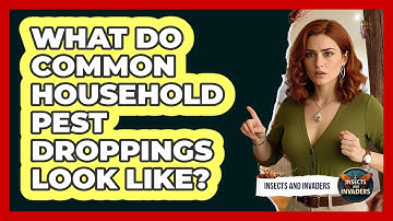 What Do Common Household Pest Droppings Look Like? - Insects and Invaders
