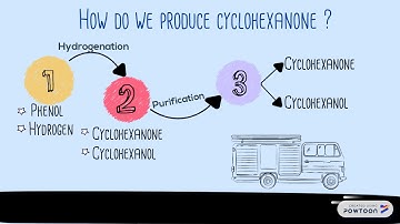 Production of Cyclohexanone