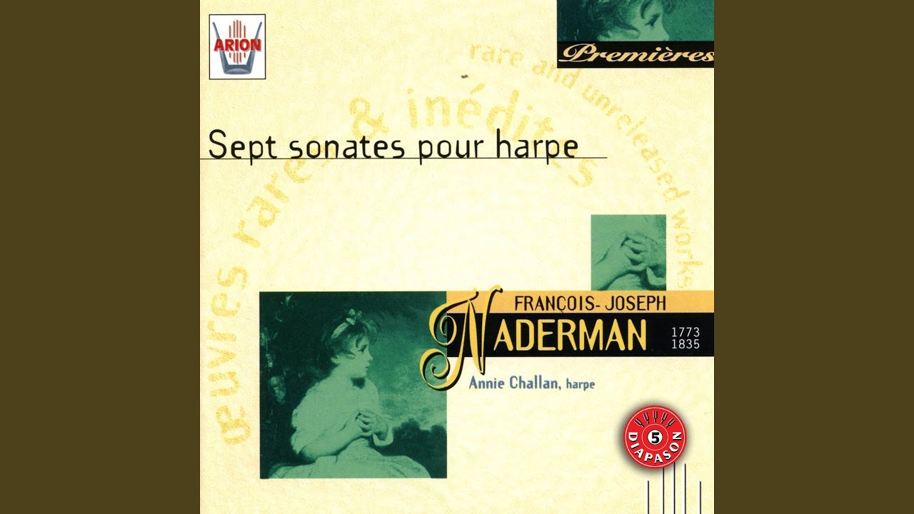 Sonate No. 6 en ré mineur : Allegro disperato