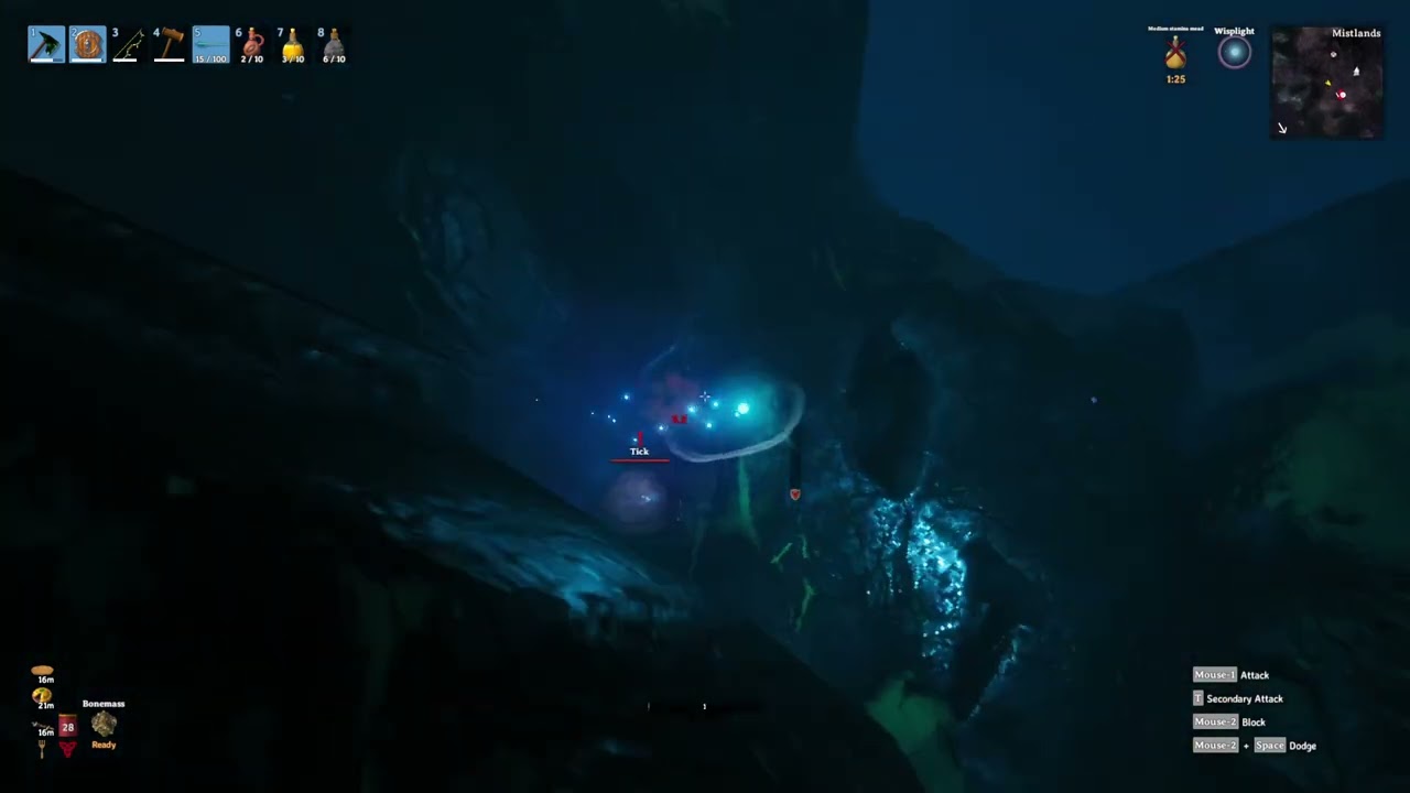 Valheim: When a tick kills you... fml!