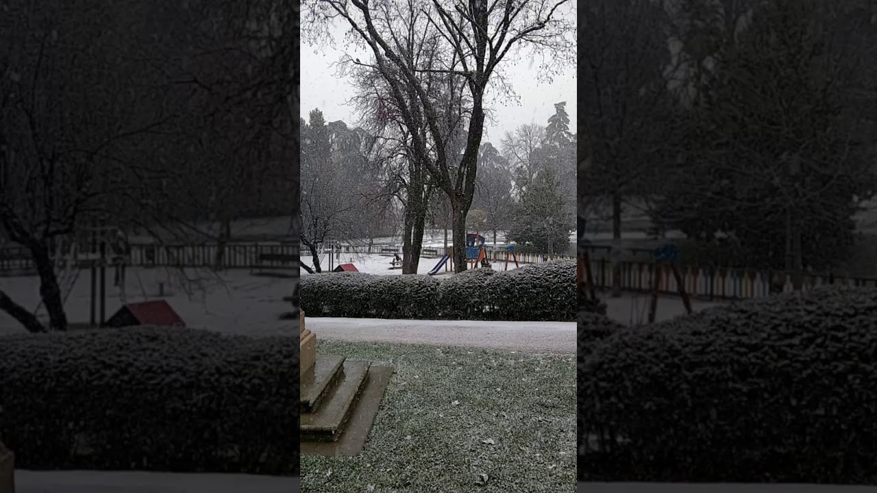 NEVADA 2021 Madrid (fotos) YouTube