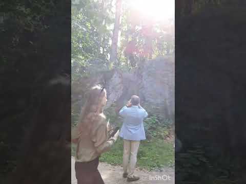 Путешествия и отдых.Питер2024.Фильм32.Серия4