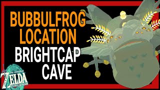 Bubbulfrog Location | Brightcap Cave | Zelda Tears of the Kingdom | Zelda Cave Frog Guide