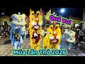 Múa lân thỏ cute/Múa lân giao lưu khán giả đình thần Phú Hưng An Giang 2026