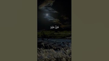 سورة القمر القارئ بلال دربالي