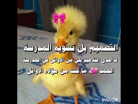 هههه بايمون ملكات الجيل الخامس جيني شانيل البشريه المغرب الرباط اكسبلور  