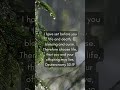 Bible verse of the day. #faithjourney #bibleverse #godisgood #growyourfaith #faithoverfear #fyp