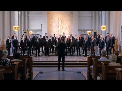 Zero8 | En Sommarafton - Adolf Fredriks kyrka, Stockholm June 2024