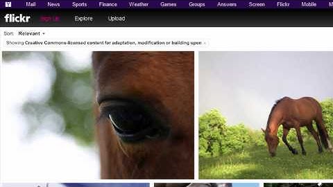 Searching for Copyright Cleared Images Using Flickr Creative Commons