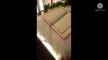 ان الله وملائكته يصلون على النبي /القارئ الصغير