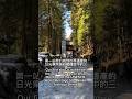 🇯🇵東京日光一日遊！KKday旅行團 東照宮 🇯🇵KKday Nikko one-day tour includes a visit to Toshogu Shrine.