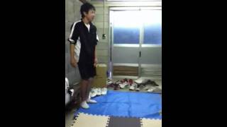 ホタテ貝 転入生ver