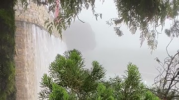 سورة النحل / تلاوة الشيخ سعود الشريم