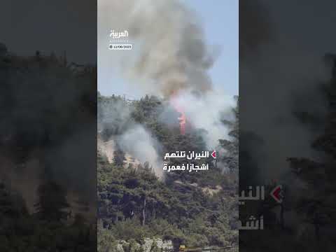 حرائق تلتهم أشجاراً معمرة في غابات القموعة بعكار، لبنان