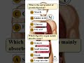 Grade 9 Biology | Digestion MCQs | Important Exam Questions with Answers #quiz #digestiveprocess