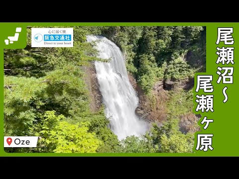 [尾瀬ハイキング]尾瀬沼〜尾瀬ヶ原【阪急交通社 公式】