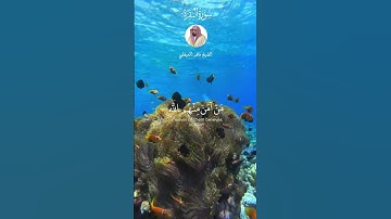 الشيخ ماهر المعيقلي  #explore #اكسبلور #قران_راحة_نفسية #قرآن #قران_كريم #سورة_البقرة