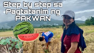 Paano ang pagtatanim ng PAKWAN? |step by step| Preparation