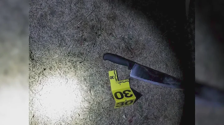 Authorities: Chicago police shoot, kill man who lunged at officer with knife