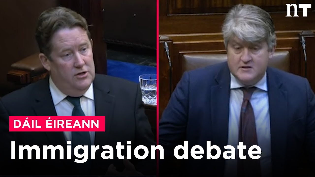 Дебаты по иммиграции в парламенте: «Без паспорта на рейс в Дублин не сядут»