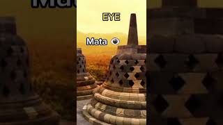 Bahasa Hawaii Sama Bahasa Indonesia