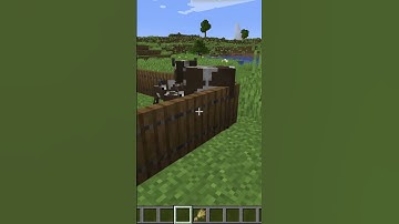 TRAP DOORS CAN MAKE AN ANIMAL PEN IN MINECRAFT #minecraft #shorts #gaming