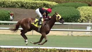 Gulfstream Park Replay Show | August 26, 2016