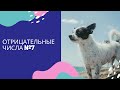 Марафон отрицательные числа. Урок 7. Умножение и деление.