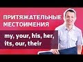 Притяжательные местоимения в английском языке. Часть 1