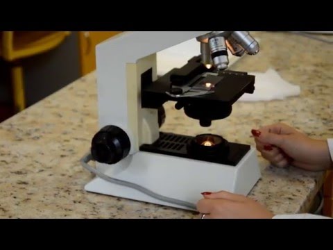 Video: Ako Sa Pozerať Cez Mikroskop