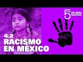 5 POR 500. RACISMO EN MÉXICO
